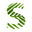 Shade Naturals logo